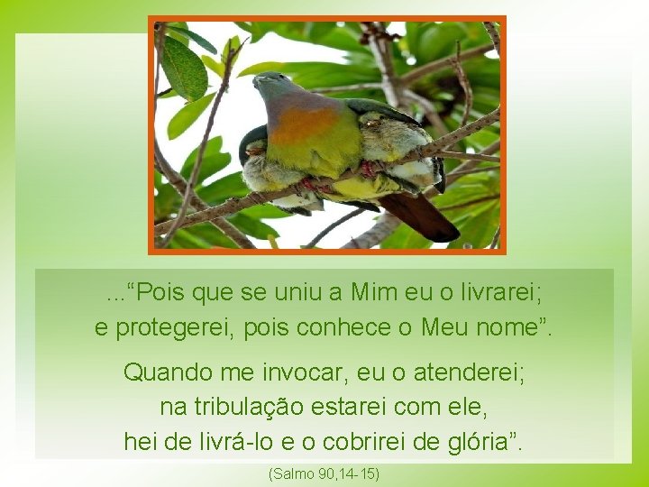 . . . “Pois que se uniu a Mim eu o livrarei; e protegerei, . . . “Pois que se uniu a Mim eu o livrarei; e protegerei,