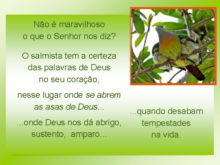 Não é maravilhoso o que o Senhor nos diz? O salmista tem a certeza Não é maravilhoso o que o Senhor nos diz? O salmista tem a certeza
