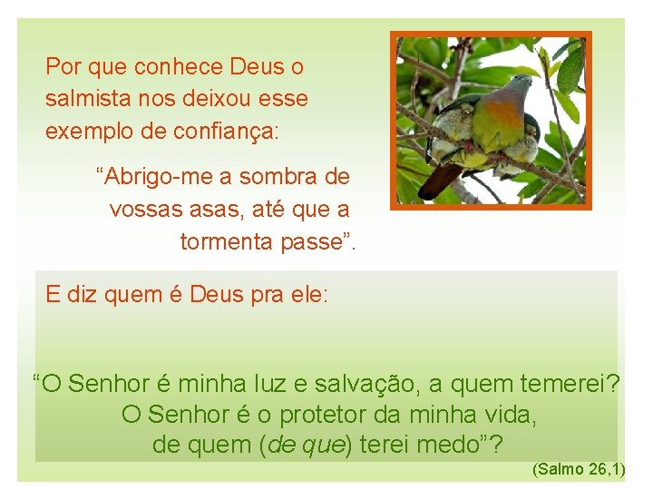 Por que conhece Deus o salmista nos deixou esse exemplo de confiança: “Abrigo-me a Por que conhece Deus o salmista nos deixou esse exemplo de confiança: “Abrigo-me a