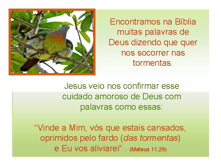 Encontramos na Bíblia muitas palavras de Deus dizendo quer nos socorrer nas tormentas. Jesus Encontramos na Bíblia muitas palavras de Deus dizendo quer nos socorrer nas tormentas. Jesus