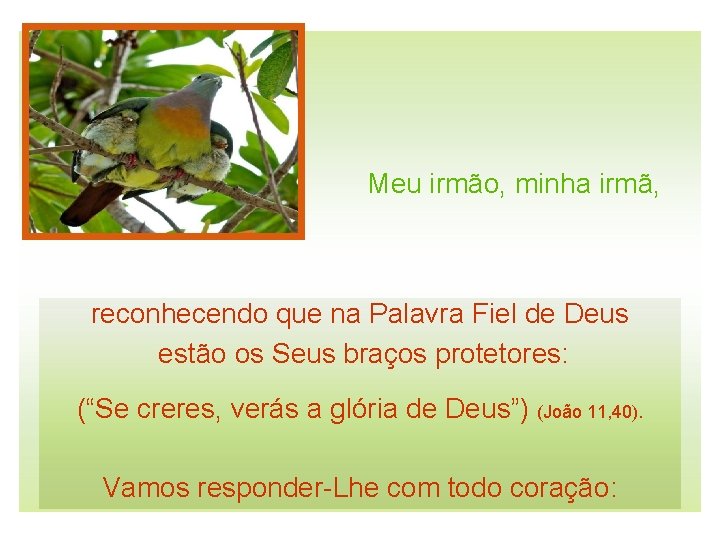 Meu irmão, minha irmã, reconhecendo que na Palavra Fiel de Deus estão os Seus Meu irmão, minha irmã, reconhecendo que na Palavra Fiel de Deus estão os Seus