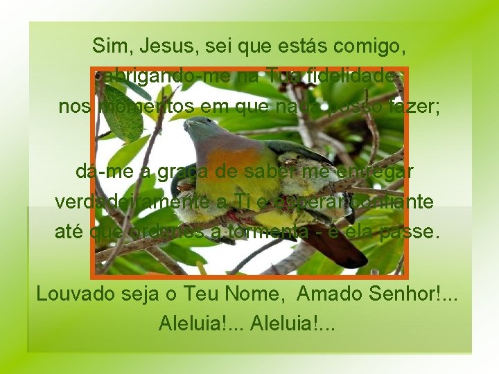 Sim, Jesus, sei que estás comigo, abrigando-me na Tua fidelidade nos momentos em que Sim, Jesus, sei que estás comigo, abrigando-me na Tua fidelidade nos momentos em que