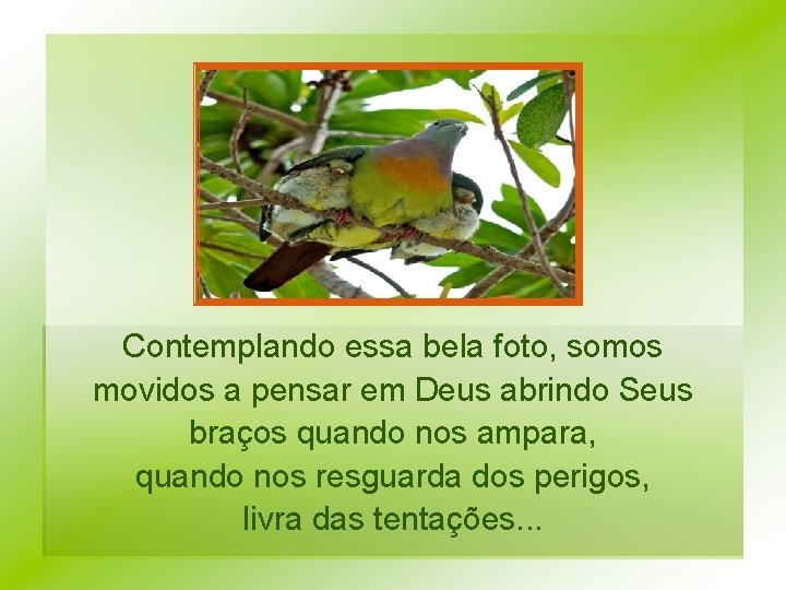 Contemplando essa bela foto, somos movidos a pensar em Deus abrindo Seus braços quando Contemplando essa bela foto, somos movidos a pensar em Deus abrindo Seus braços quando