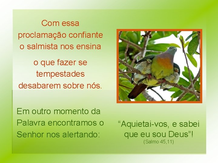 Com essa proclamação confiante o salmista nos ensina o que fazer se tempestades desabarem Com essa proclamação confiante o salmista nos ensina o que fazer se tempestades desabarem