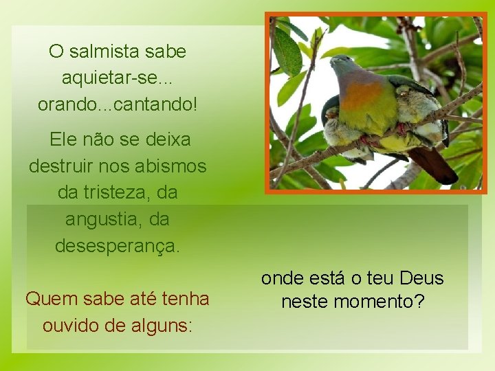 O salmista sabe aquietar-se. . . orando. . . cantando! Ele não se deixa O salmista sabe aquietar-se. . . orando. . . cantando! Ele não se deixa