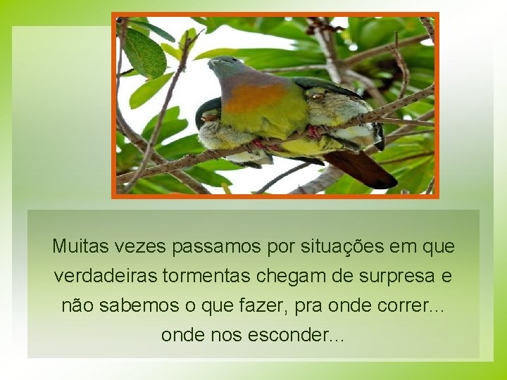 Muitas vezes passamos por situações em que verdadeiras tormentas chegam de surpresa e não Muitas vezes passamos por situações em que verdadeiras tormentas chegam de surpresa e não