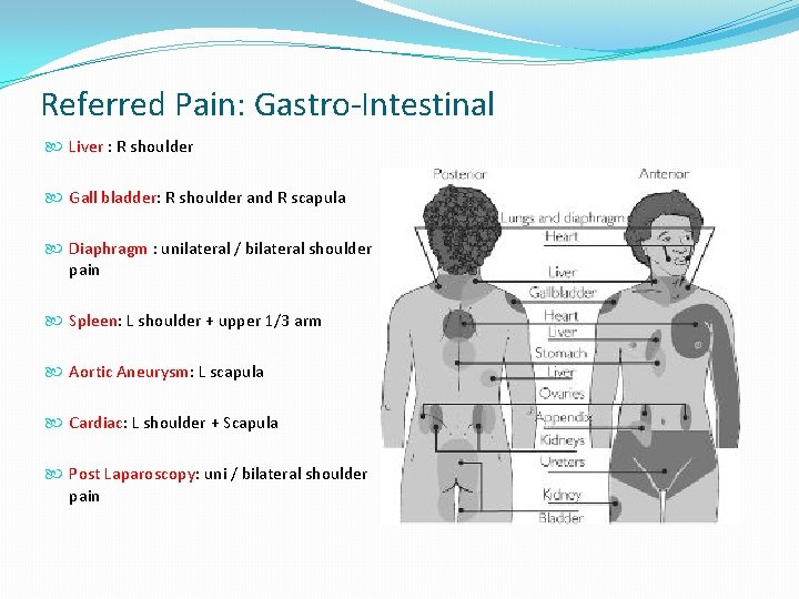 Referred Pain: Gastro-Intestinal Liver : R shoulder Gall bladder: R shoulder and R scapula Referred Pain: Gastro-Intestinal Liver : R shoulder Gall bladder: R shoulder and R scapula
