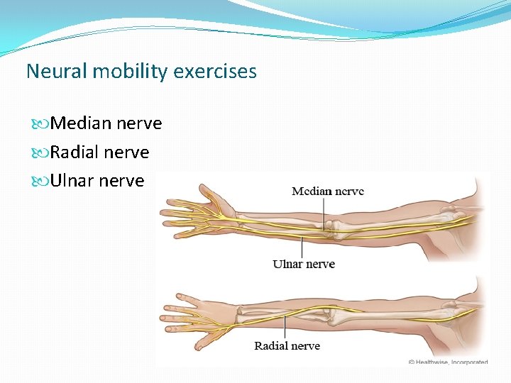 Neural mobility exercises Median nerve Radial nerve Ulnar nerve Neural mobility exercises Median nerve Radial nerve Ulnar nerve