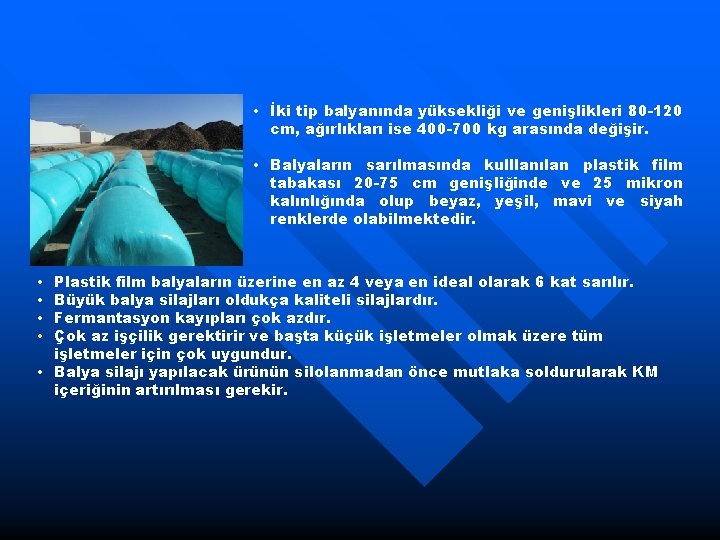  • İki tip balyanında yüksekliği ve genişlikleri 80 -120 cm, ağırlıkları ise 400