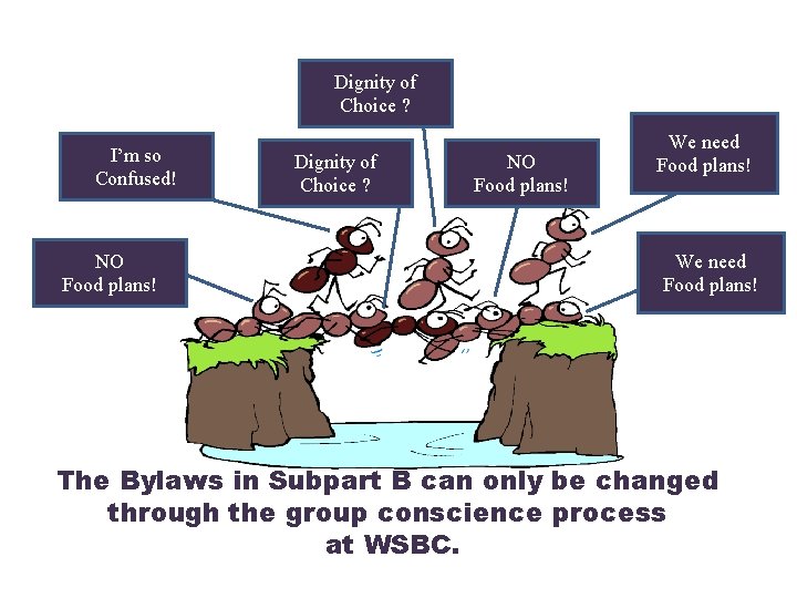 Dignity of Choice ? I’m so Confused! NO Food plans! Dignity of Choice ?