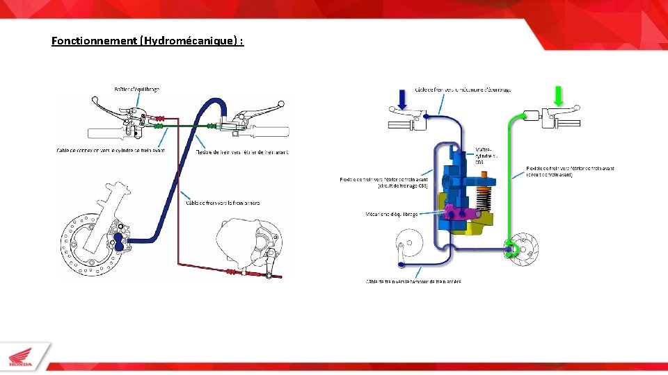 Fonctionnement (Hydromécanique) : 