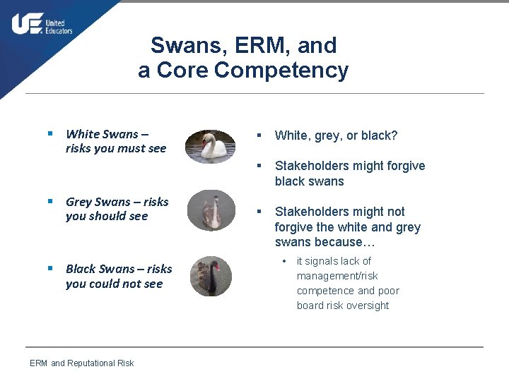 Swans, ERM, and a Core Competency § White Swans – risks you must see