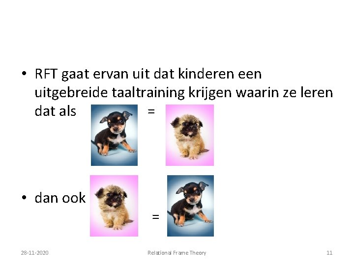  • RFT gaat ervan uit dat kinderen een uitgebreide taaltraining krijgen waarin ze