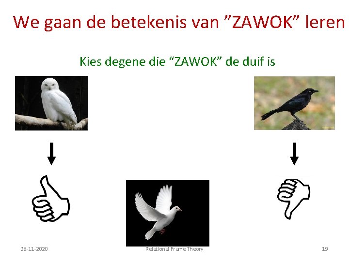We gaan de betekenis van ˮZAWOKˮ leren Kies degene die “ZAWOKˮ de duif is