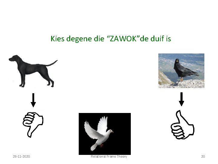 Kies degene die “ZAWOKˮde duif is 28 -11 -2020 Relational Frame Theory 20 