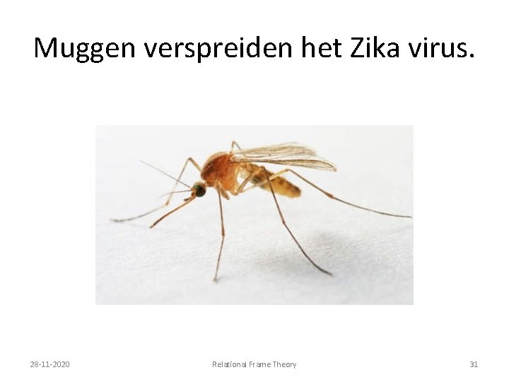 Muggen verspreiden het Zika virus. 28 -11 -2020 Relational Frame Theory 31 