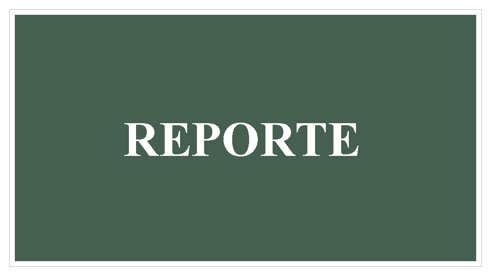 REPORTE 