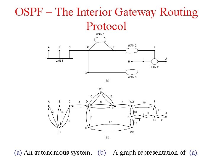 OSPF – The Interior Gateway Routing Protocol (a) An autonomous system. (b) A graph