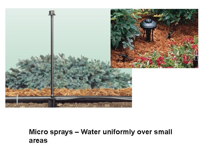 Micro sprays – Water uniformly over small areas 