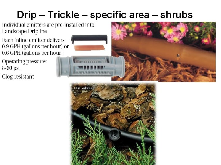 Drip – Trickle – specific area – shrubs 