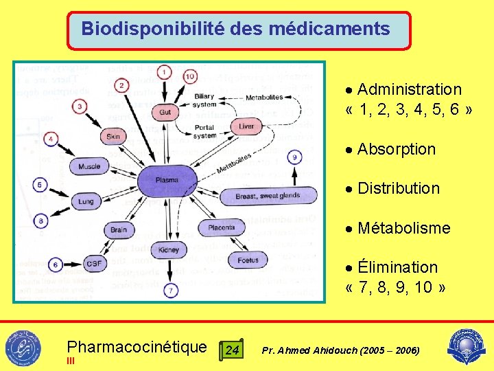 Biodisponibilité des médicaments Administration « 1, 2, 3, 4, 5, 6 » Absorption Distribution
