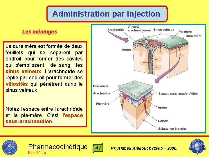 Administration par injection Les méninges La dure mère est formée de deux feuillets qui