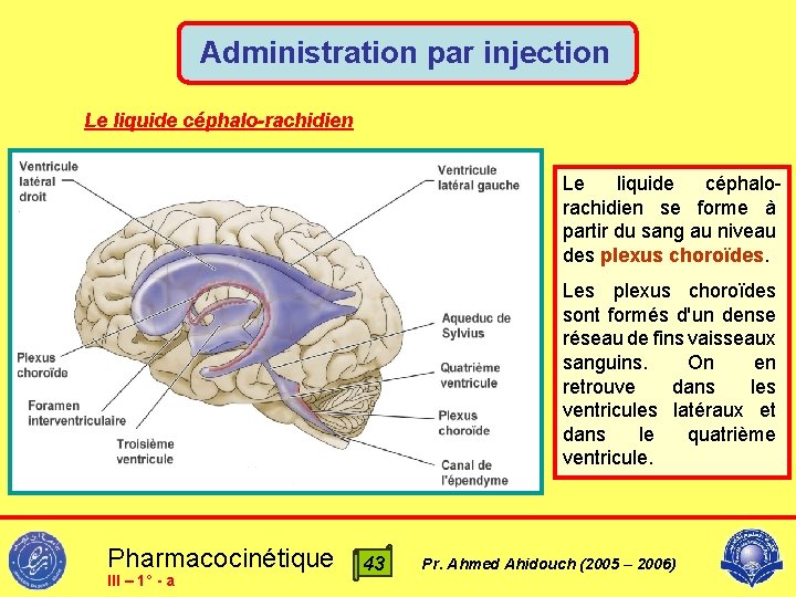 Administration par injection Le liquide céphalo-rachidien Le liquide céphalorachidien se forme à partir du