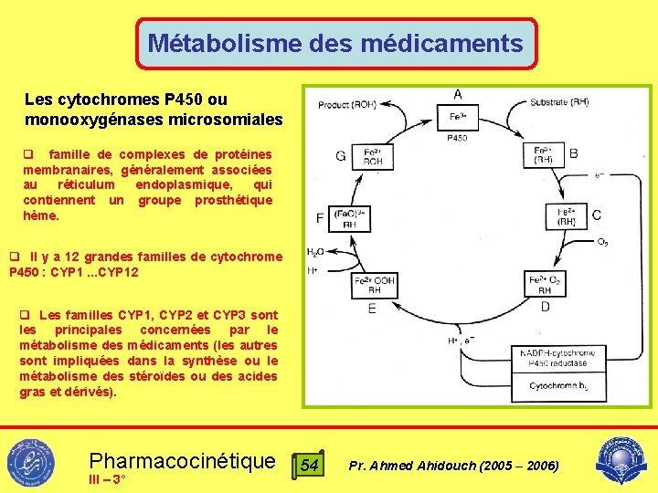 Métabolisme des médicaments Les cytochromes P 450 ou monooxygénases microsomiales q famille de complexes