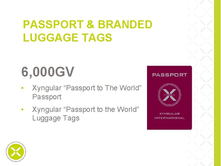 PASSPORT & BRANDED LUGGAGE TAGS 6, 000 GV • Xyngular “Passport to The World”