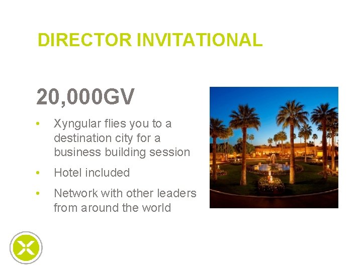 DIRECTOR INVITATIONAL 20, 000 GV • Xyngular flies you to a destination city for