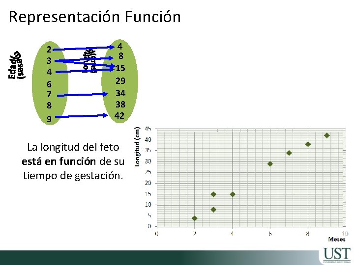 Representación Función 2 3 4 6 7 8 9 4 8 15 29 34