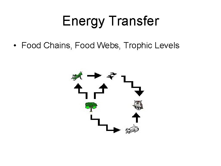 Energy Transfer • Food Chains, Food Webs, Trophic Levels 