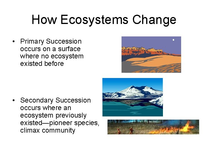 How Ecosystems Change • Primary Succession occurs on a surface where no ecosystem existed
