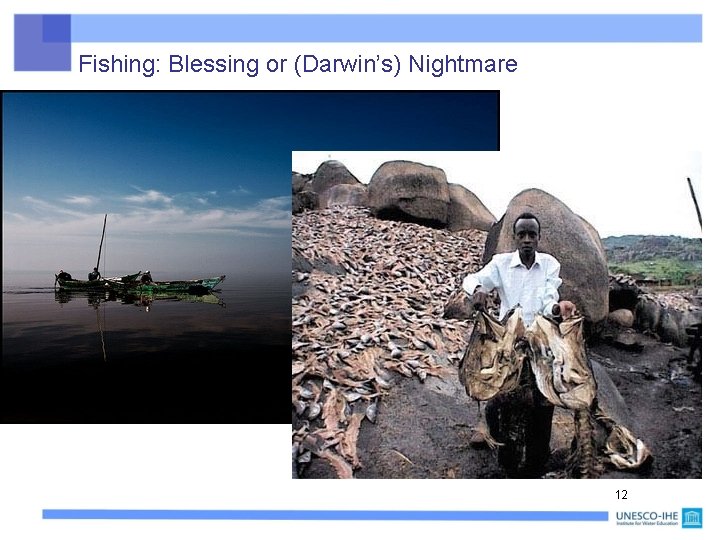 Fishing: Blessing or (Darwin’s) Nightmare 12 