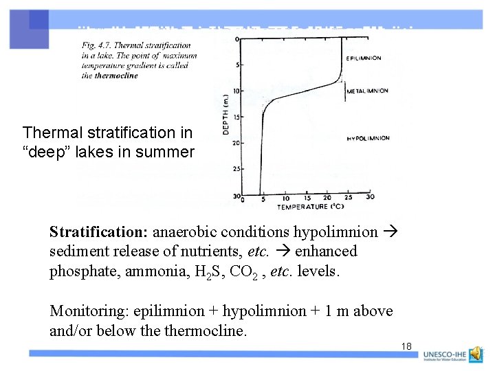 Thermal stratification in “deep” lakes in summer Stratification: anaerobic conditions hypolimnion sediment release of