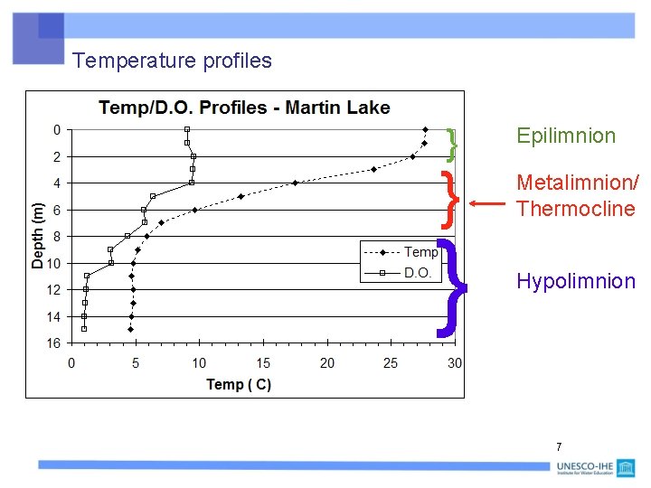 Temperature profiles } } } Epilimnion Metalimnion/ Thermocline Hypolimnion 7 