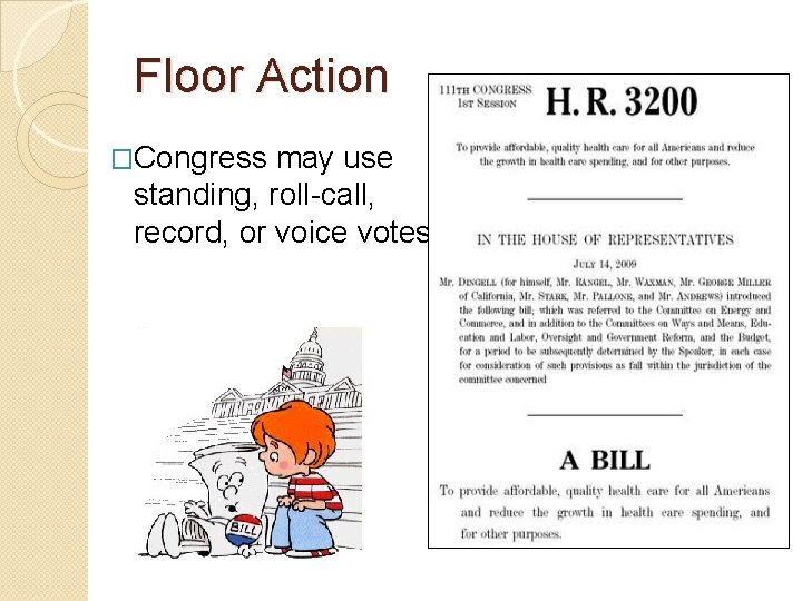 Floor Action �Congress may use standing, roll-call, record, or voice votes. 