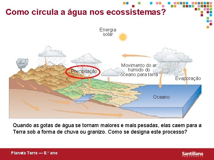Como circula a água nos ecossistemas? Energia solar Precipitação Movimento do ar húmido do