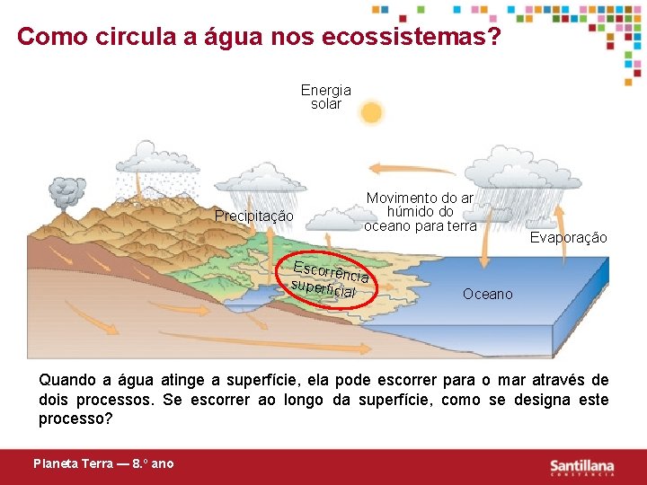 Como circula a água nos ecossistemas? Energia solar Precipitação Movimento do ar húmido do