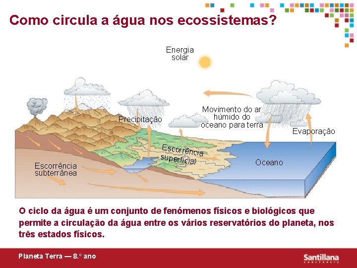 Como circula a água nos ecossistemas? Energia solar Precipitação Escorrência subterrânea Movimento do ar
