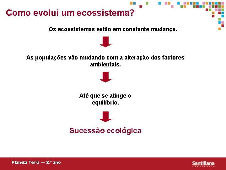 Como evolui um ecossistema? Os ecossistemas estão em constante mudança. As populações vão mudando