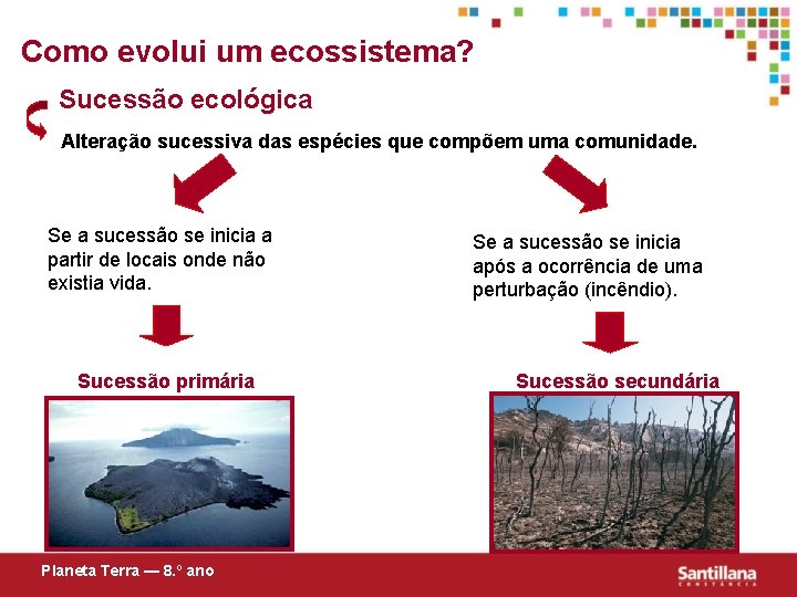 Como evolui um ecossistema? Sucessão ecológica Alteração sucessiva das espécies que compõem uma comunidade.