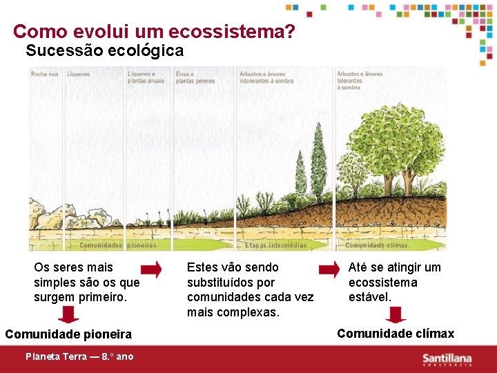Como evolui um ecossistema? Sucessão ecológica Os seres mais simples são os que surgem