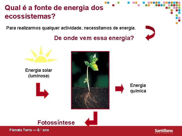 Qual é a fonte de energia dos ecossistemas? Para realizarmos qualquer actividade, necessitamos de
