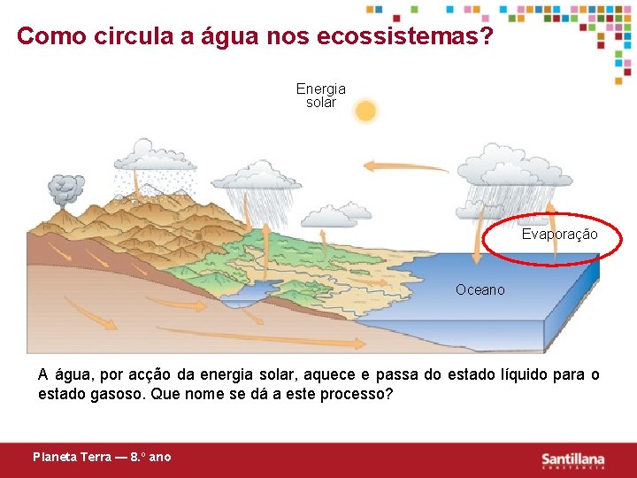 Como circula a água nos ecossistemas? Energia solar Evaporação Oceano A água, por acção