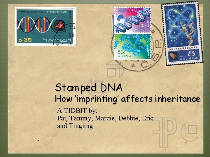 Stamped DNA How ‘imprinting’ affects inheritance A TIDBIT by: Pat, Tammy, Marcie, Debbie, Eric