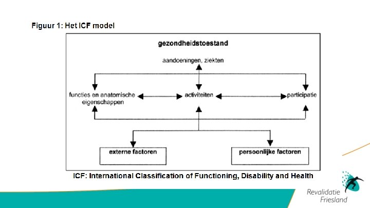 ￼Figuur 2: Nederlandse vertaling van het ‘ICF model’, (WHO, 2002). 