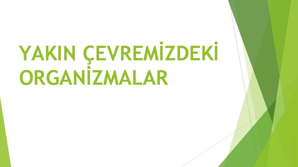 YAKIN ÇEVREMİZDEKİ ORGANİZMALAR YAKIN ÇEVREMİZDEKİ ORGANİZMALAR