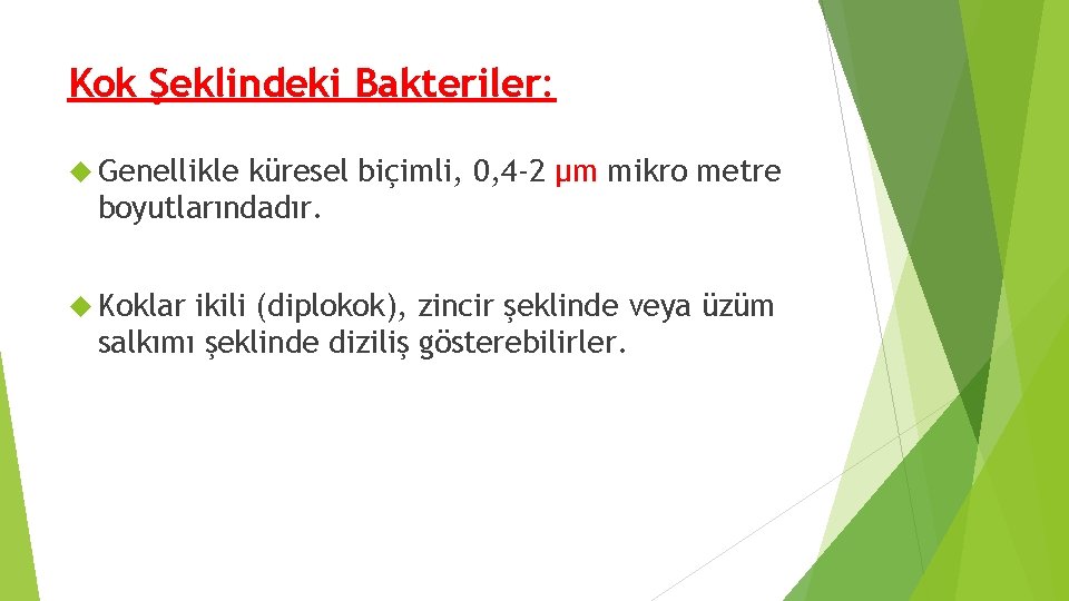 Kok Şeklindeki Bakteriler: Genellikle küresel biçimli, 0, 4 -2 μm mikro metre boyutlarındadır. Koklar Kok Şeklindeki Bakteriler: Genellikle küresel biçimli, 0, 4 -2 μm mikro metre boyutlarındadır. Koklar