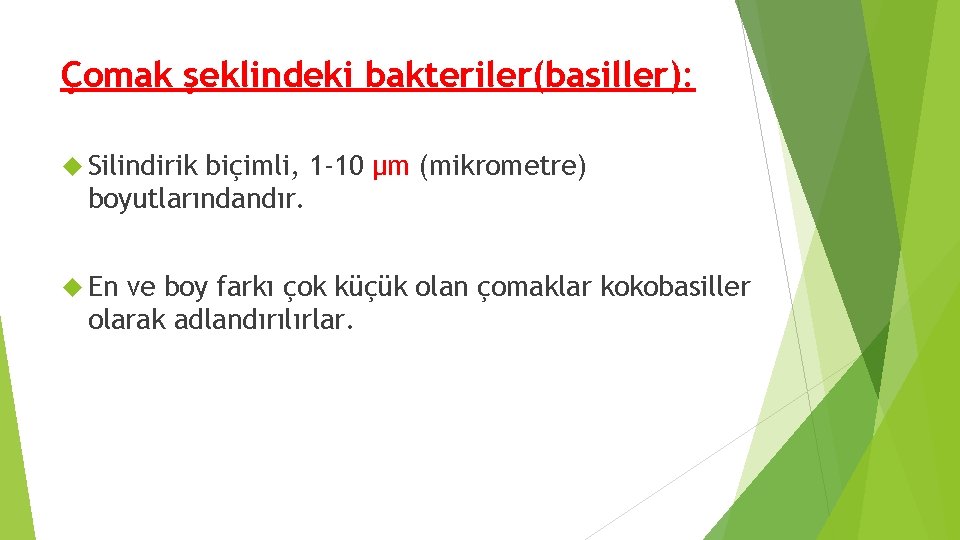 Çomak şeklindeki bakteriler(basiller): Silindirik biçimli, 1 -10 μm (mikrometre) boyutlarındandır. En ve boy farkı Çomak şeklindeki bakteriler(basiller): Silindirik biçimli, 1 -10 μm (mikrometre) boyutlarındandır. En ve boy farkı
